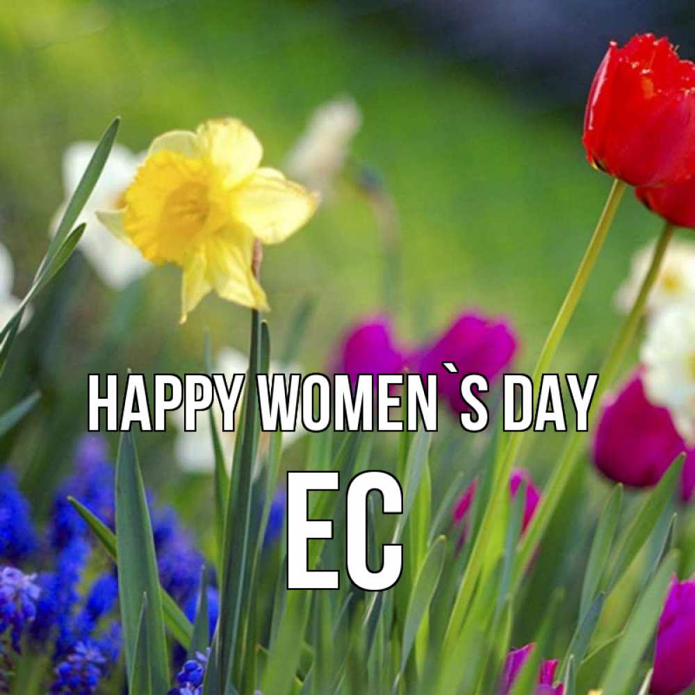 Greetings card с именем, Ес happy women`s day международный женский день 3 Greetings with text for free download 
